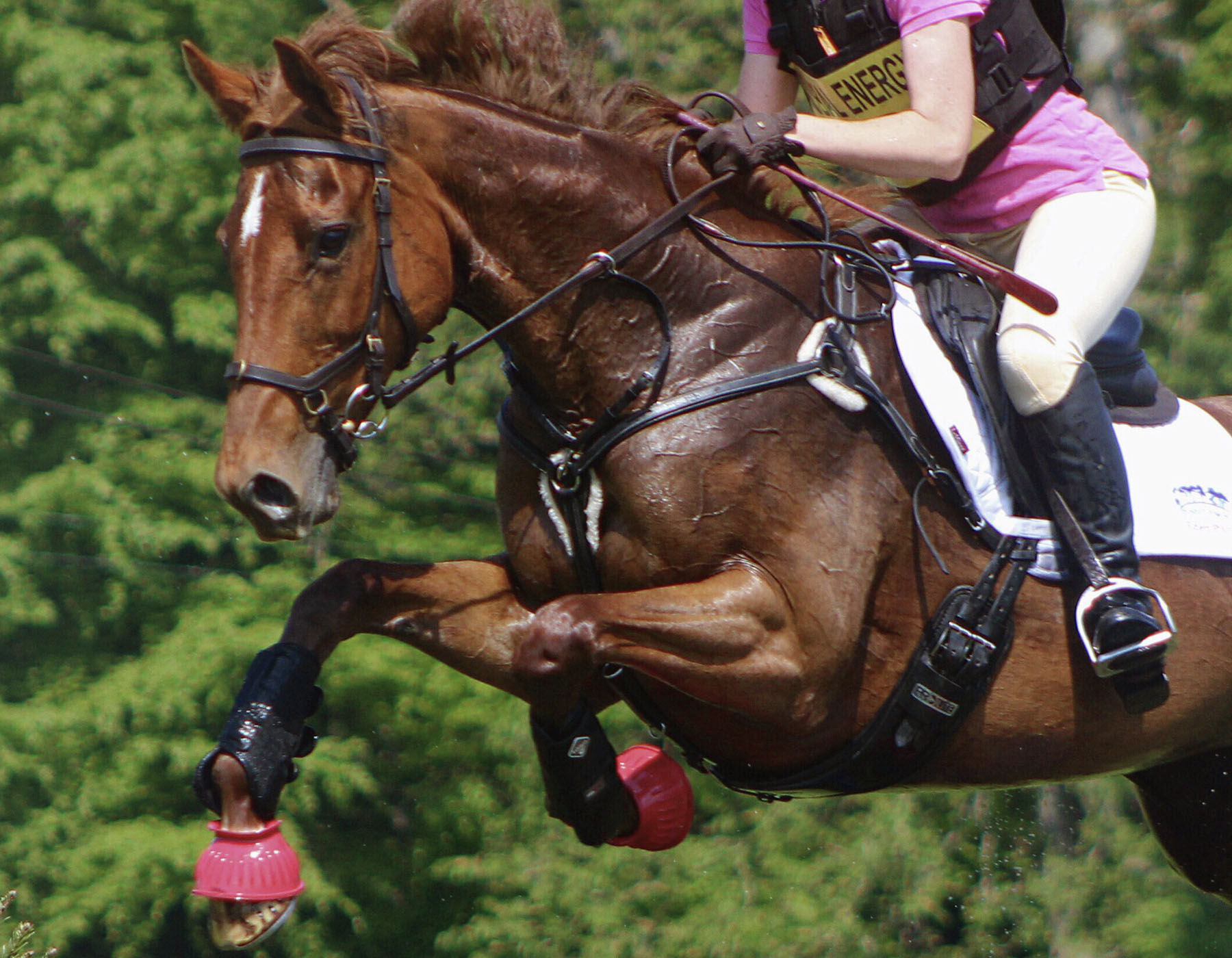 img_0004_three-day-eventing-2022-08-01-01-49-58-utc